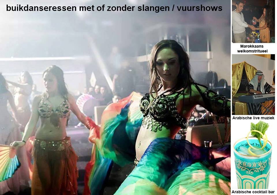 TUrkse folkdansgroep